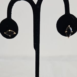 Elegant Black Onyx and Gold Earrings